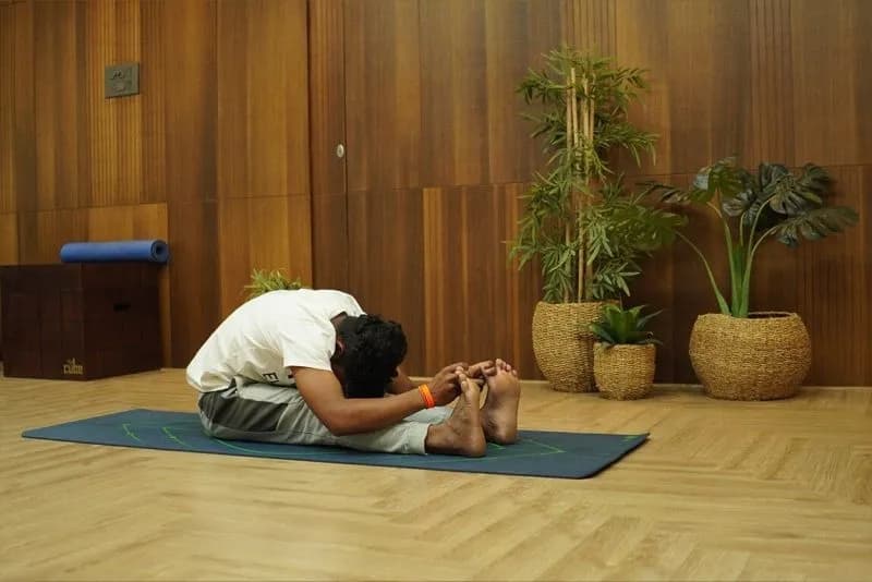 Seated-Forward-Bend.jpg