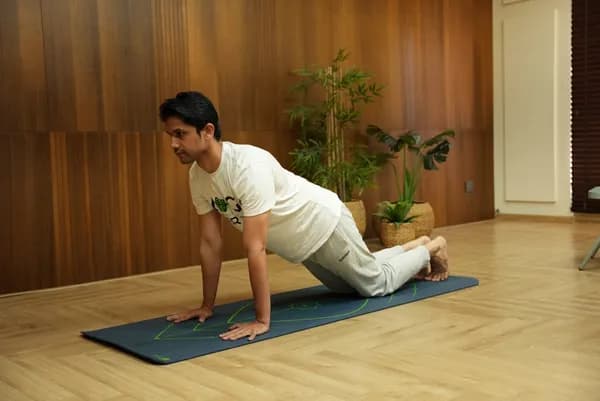 Yoga for Back Pain