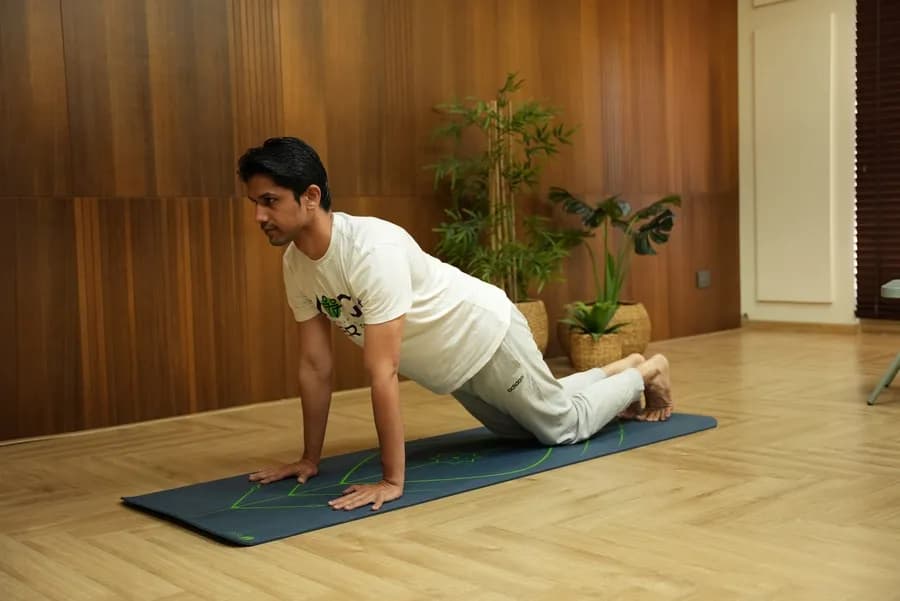 Marjariasana