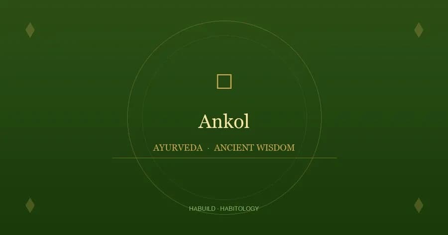 Ankol: Benefits, Uses & Ayurvedic Properties