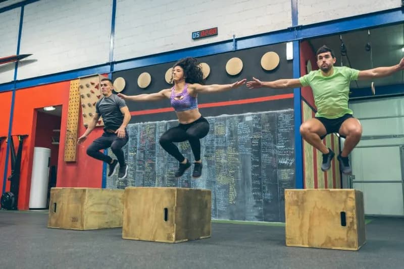 athletic people jump on boxes in fitness gym 2026 01 08 22 30 22 utc