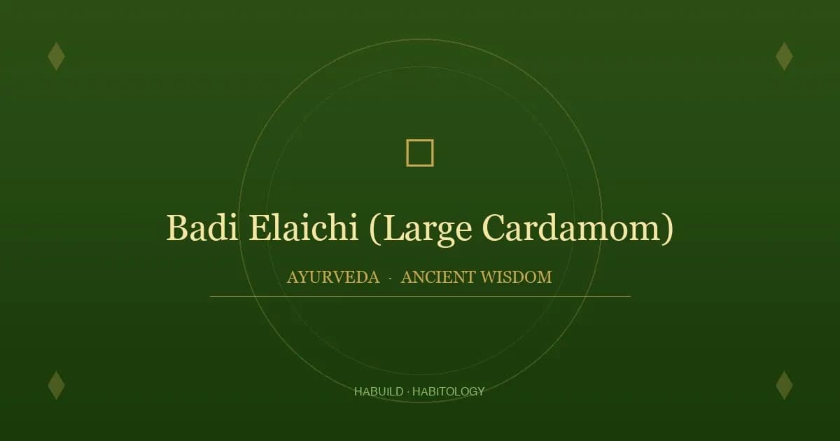 Badi Elaichi (Large Cardamom): Benefits, Uses & Ayurvedic Properties