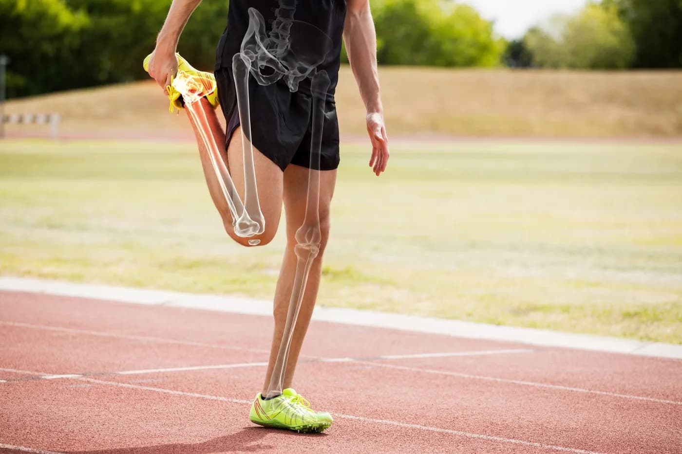 benefits of leg exercises for strength and stability