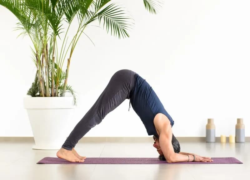 fit man doing a yoga dolphin pose in a gym 2026 01 08 06 58 45 utc