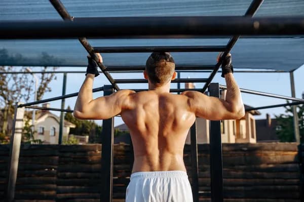 Calisthenics Back Workout