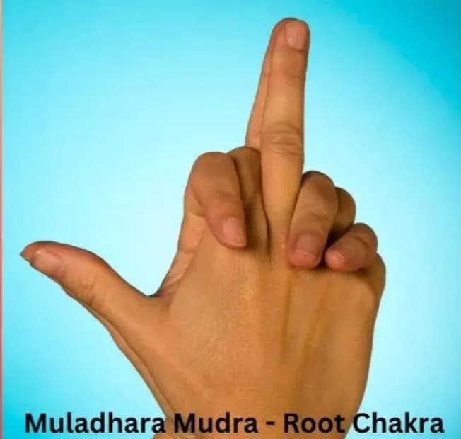 Muladhara Chakra Mudra hand gesture for root chakra grounding