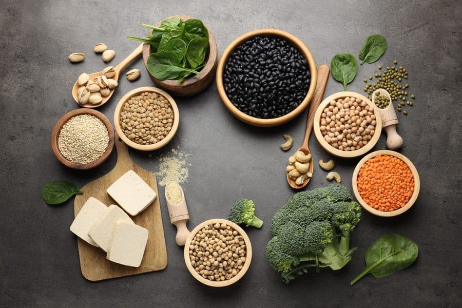 Flat lay of plant-based protein foods: dal, paneer, sprouts, nuts and seeds