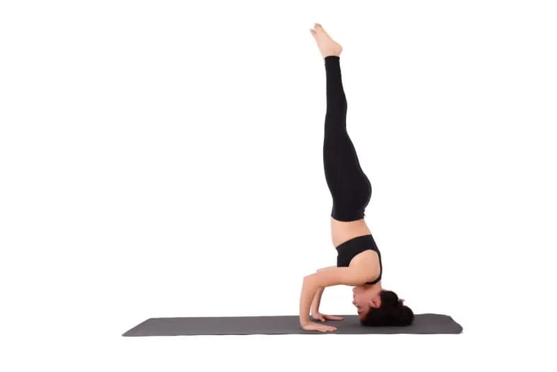 young latin woman practicing yoga sport fitness 2026 03 26 10 20 58 utc